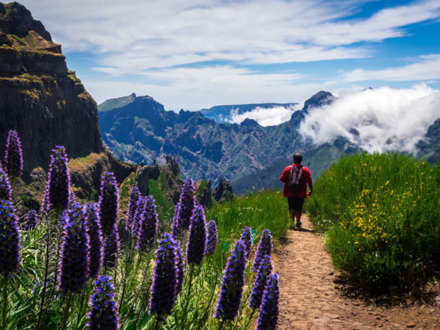 Bergwandern auf Madeira mit Besteigung des Pico Ruivo