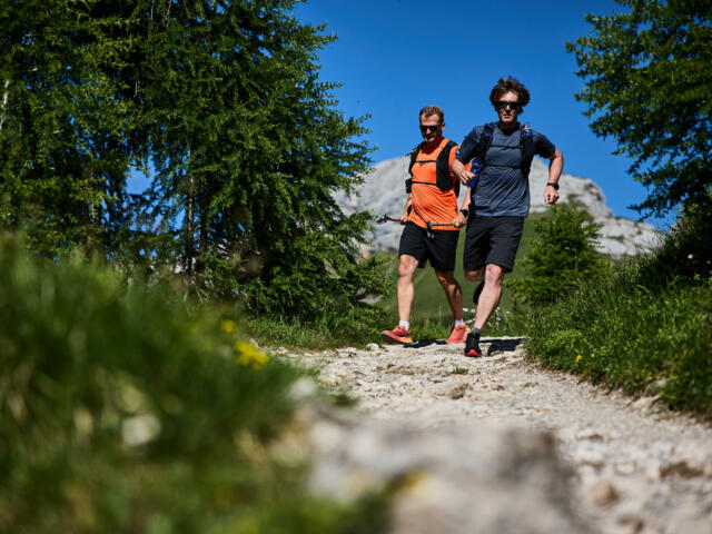 Trailrunning Kurs in den Brennerbergen
