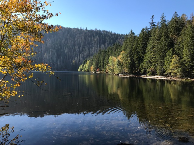 Ein See im Bayrischen Wald.