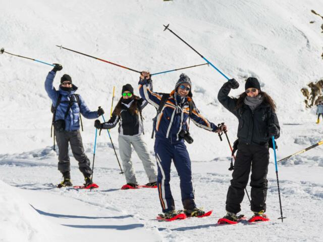 Gruppe von Schneeschuhgehern, die Stöcke in die Luft halten