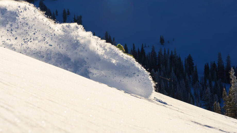 Freeride verschwindet in eigener Powder Wolke