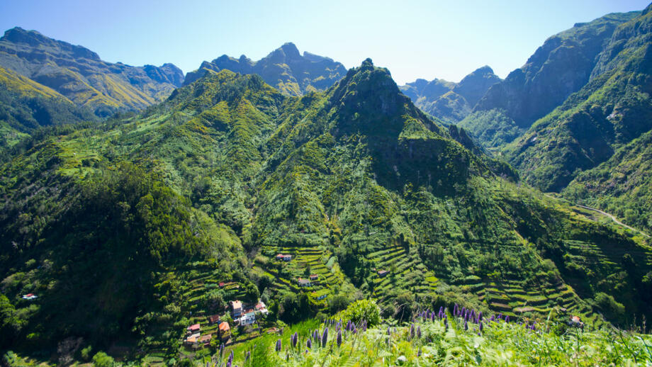 Das Tal Serra de Agua auf Madeira beeindruckt mit üppiger Vegetation