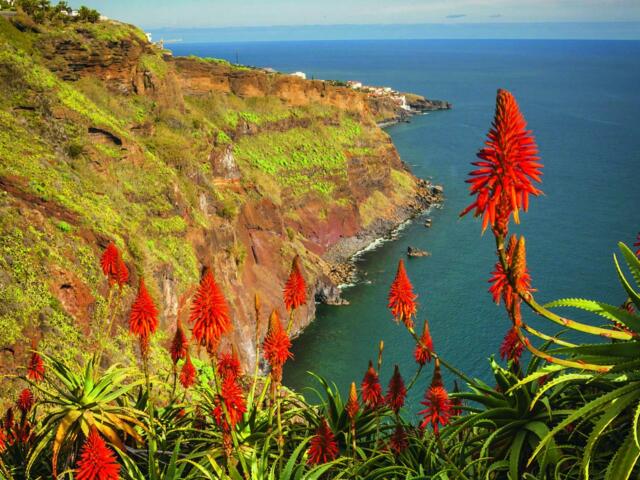 Wanderungen auf der Blumeninsel Madeira im Atlantik