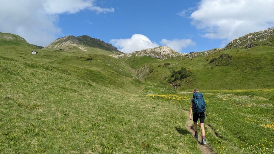 Wanderin in Wiesenlandschaft