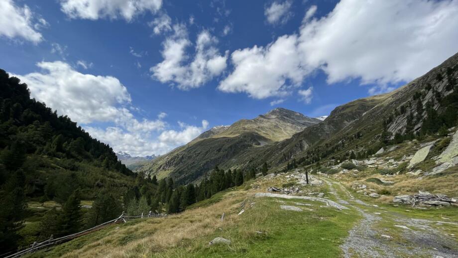 Bergpanorama mit grünen Wiesen in den Stubaier Alpen