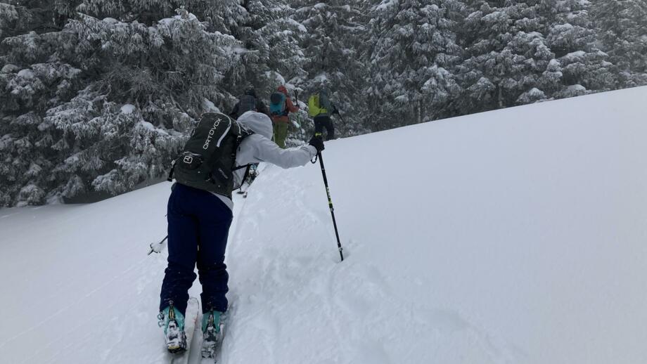 Skitourengeher im Aufstieg mit Pulver