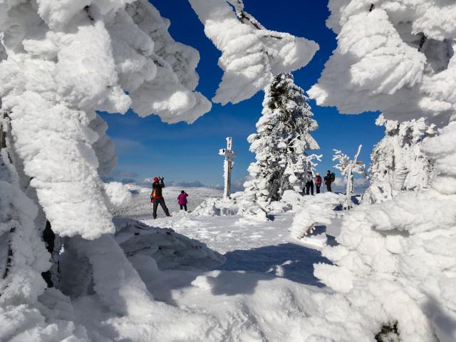 Gipfelkreuz zwischen verschneiten Bäumen