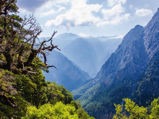 Blick hinab zur Samaria Schlucht auf Kreta