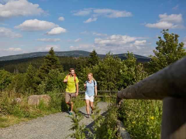 Zwei Wanderer im Harz