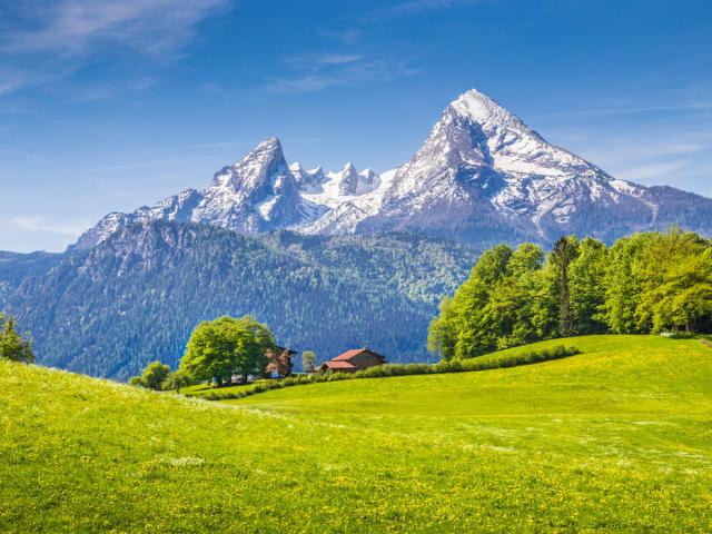 Wiesenlandschaft mit Ausblick auf den Watzmann