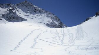 Abfahrtsspuren im Schnee