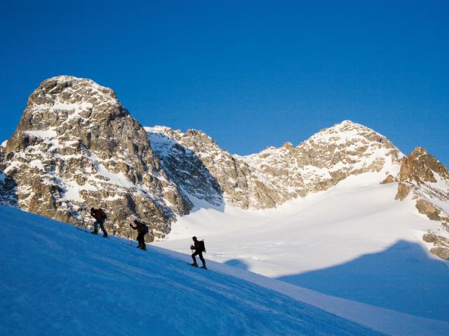 Drei Skitourengeher beim Anstieg am Hang