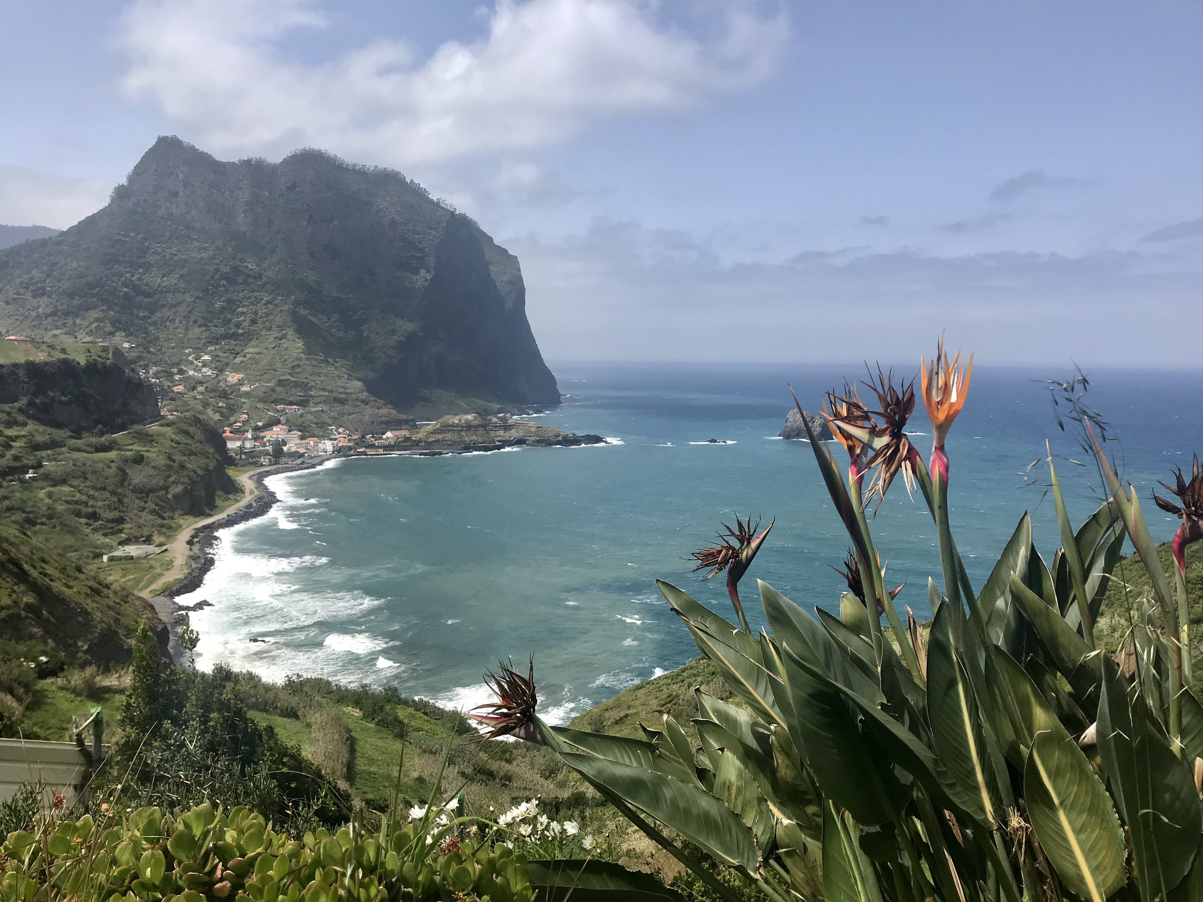 madeira-machico.jpg