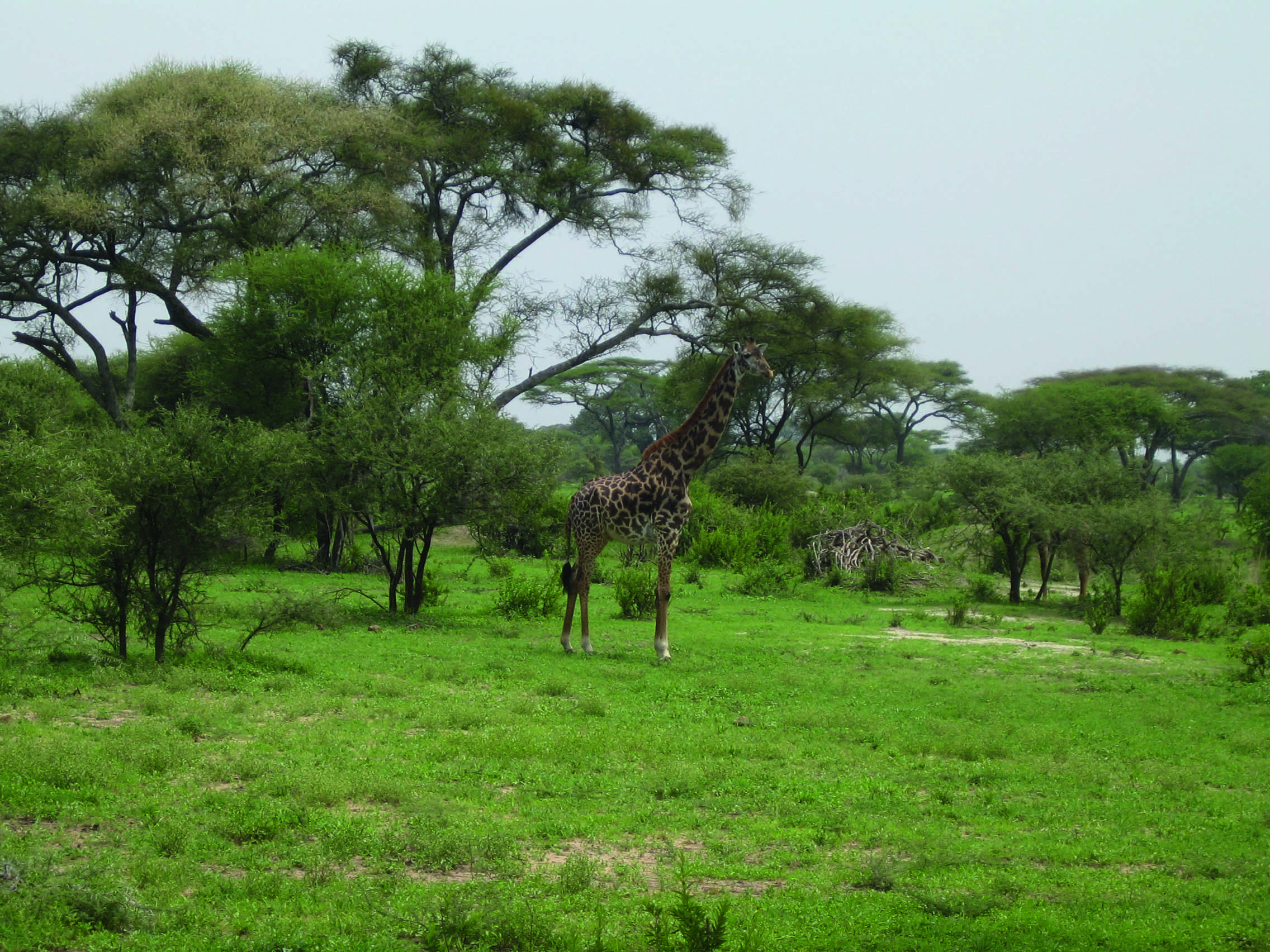 img-8402.jpg