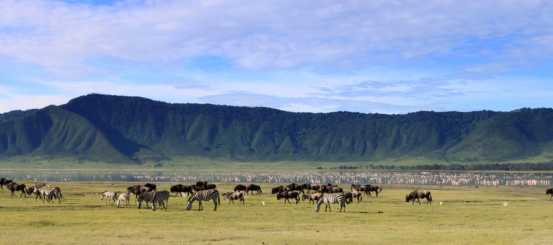 Safari-Programm: Weltnaturerbe Ngorongoro-Krater