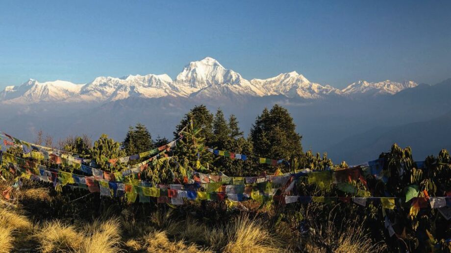 Blick auf den 8000er Dhaulagiri vom Poon Hill aus