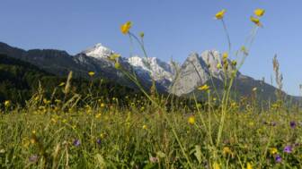 ©Olympiaregion Seefeld_blick-auf-die-alpspitze-und-den-waxenste_4a96d430b8.jpg
