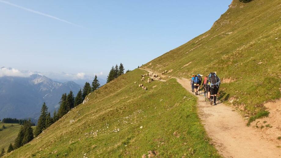 Deutschland_Bayern_Spitzing_ABWWF_2020 (29).jpg