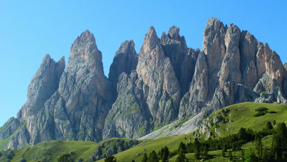 geislergruppela002.jpg