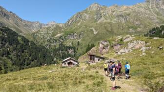 italien-trentino-pejo-yoga-wanderungen-2023 (59).jpg