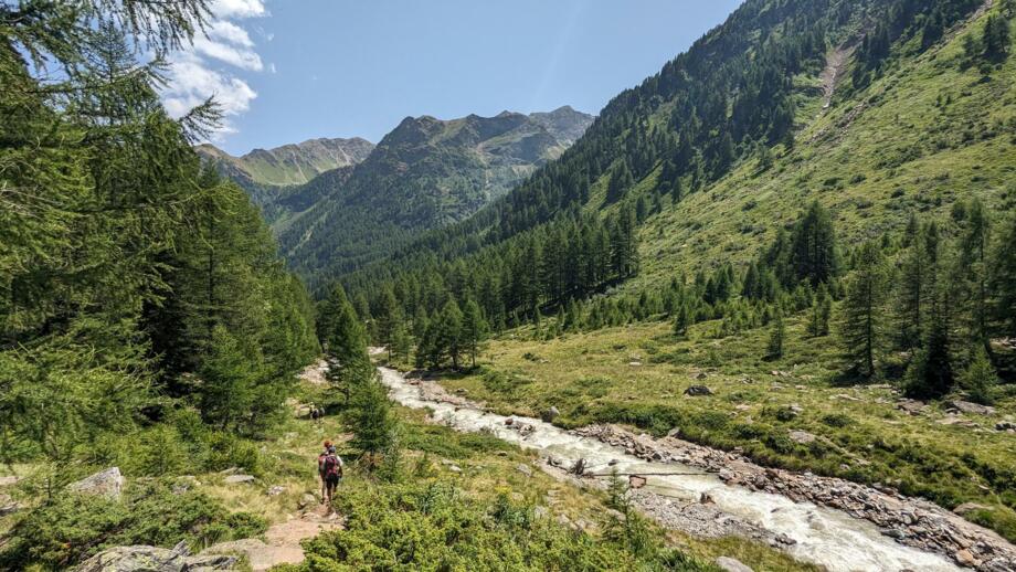 italien-trentino-pejo-yoga-wanderungen-2023 (71).jpg