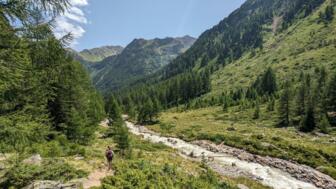 italien-trentino-pejo-yoga-wanderungen-2023 (71).jpg
