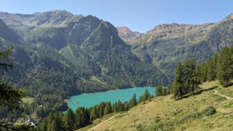 italien-trentino-pejo-yoga-wanderungen-2023 (57).jpg