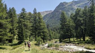 italien-trentino-pejo-yoga-wanderungen-2023 (77).jpg