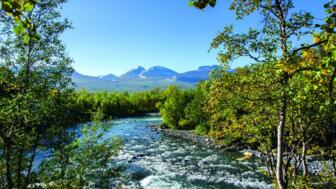 shutterstock_1077792233_Fluss.jpg