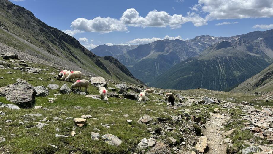 oesterreich-e5-alpenueberquerung-aqobe-fernwanderweg-mehrtageswanderung-huettenwanderung (38).jpg