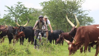 BIKE + COW IMG-20201214-WA0016.jpg