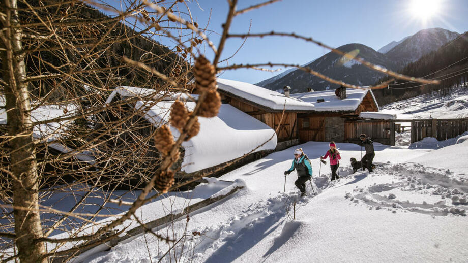 20190205_alpenrose_AR5_3634_res.jpg