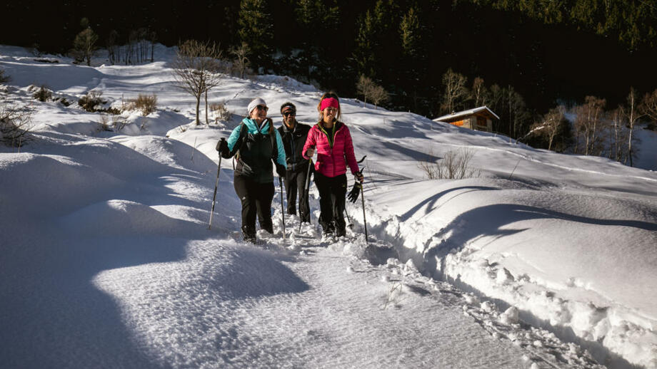 20190205_alpenrose_AR5_3722_res.jpg