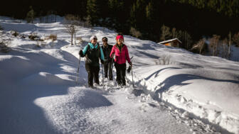 20190205_alpenrose_AR5_3722_res.jpg