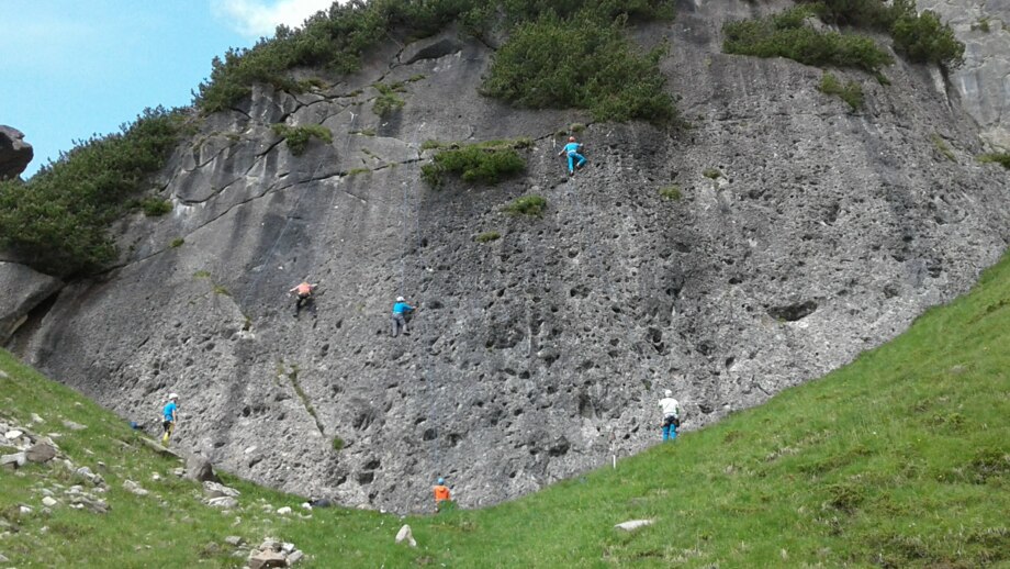 20200714_094700.jpg