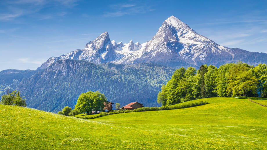 shutterstock_293988206_HGBGD.jpg