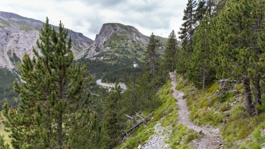 Senda Val Müstair Ofenpass.jpg