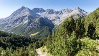 Jufplaun Val Mora.jpg