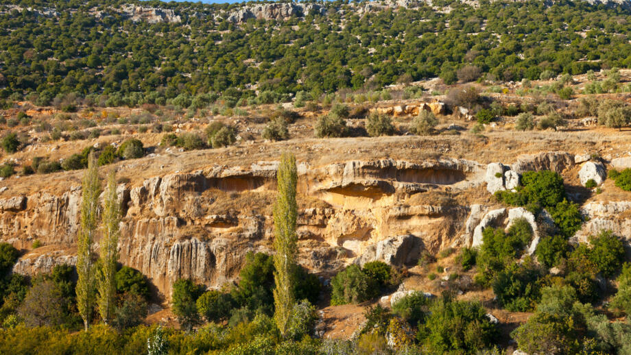 Grüne, felsdurchdsetzte Landschaftg bei Ajloun im Jordantal