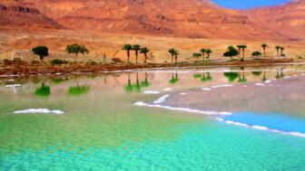 Totes Meer in Jordanien mit Palmen