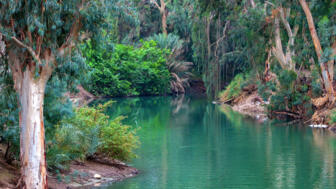 Wadi bin Hammad mit Fluss und üppiger grüner Vegetation