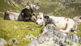 oesterreich-stubaier-alpen-sbwin-rmu-5940.jpg