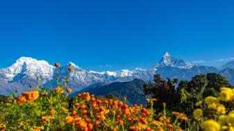 nepal-hilhb-australisches-lager-mit-schoener-aussicht-auf-die-annapurna-pokhara-nepal-machhapuchhere-bergsicht-shutterstock_2386449969.jpg