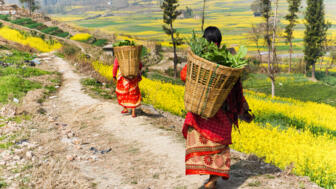 nepal-hilhb-leben-in-nepal-shutterstock_389309857.jpg