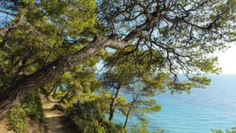 griechenland-chalkidiki-sani siviri.jpg