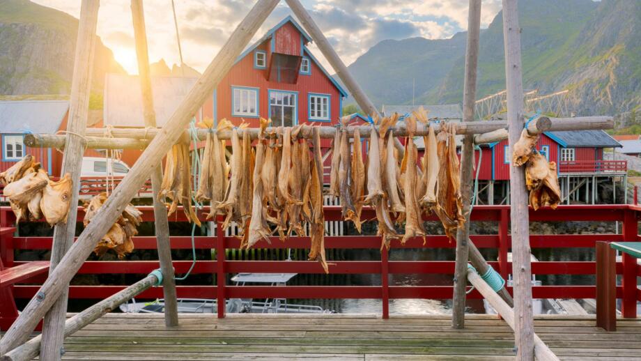norwegen-lofoten-nolof-fischerdorf-lofoten-inseln-im-sommer-shutterstock_2335402215.jpg