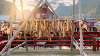 norwegen-lofoten-nolof-fischerdorf-lofoten-inseln-im-sommer-shutterstock_2335402215.jpg