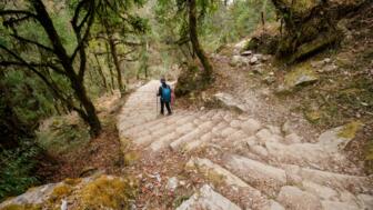nepal-hilha-der-auf-dem-waldweg-nach-nepal-wandert-shutterstock_2299403011.jpg