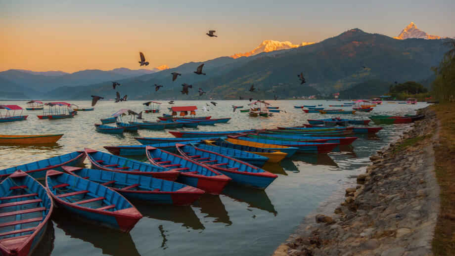 nepal-hilha-sonnenaufgang-mit-holzbooten-auf-dem-phewa-see-pokhara-shutterstock_584885479.jpg