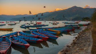 nepal-hilha-sonnenaufgang-mit-holzbooten-auf-dem-phewa-see-pokhara-shutterstock_584885479.jpg